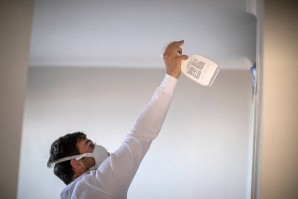 Best Mold Damage Repair  in Fuller Heights, FL