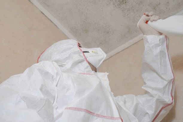 Best Mold Removal Specialists  in Fuller Heights, FL